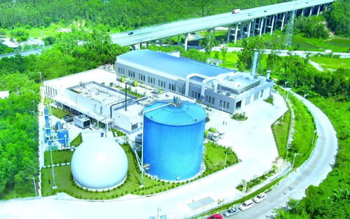 江門市區(qū)餐廚垃圾收運處置機制詳解 新聞發(fā)布會全回顧